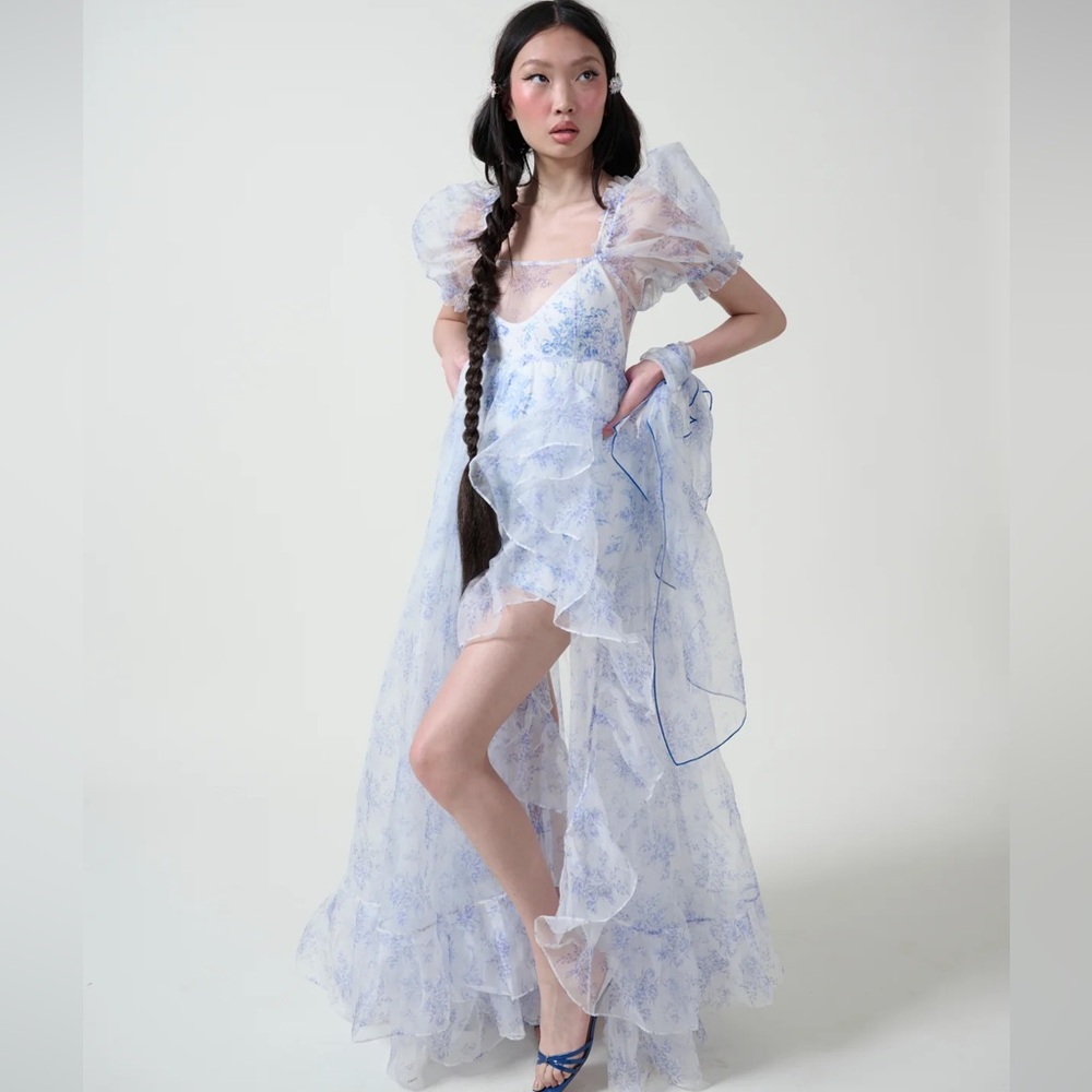 NWT The Bed And Breakfast Sheer Delight Ruffle Gown- Selkie